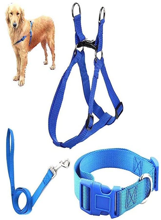 Pups&Pets Combo 0.5 Inch Nylon Collar and Adjustable Leash with Harness Set | 15 MM Harness Set Dogs and Puppies (Blue) - Image 1